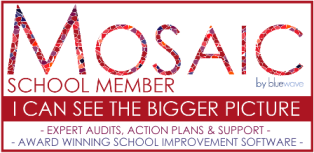 Award Winning School Improvement Software. Build your picture of school improvement with Mosaic by Bluewave